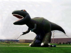 Nuovo arrivo Dinosauri per gonfiabili per parco giurassico