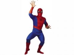 Vestito da spiderman